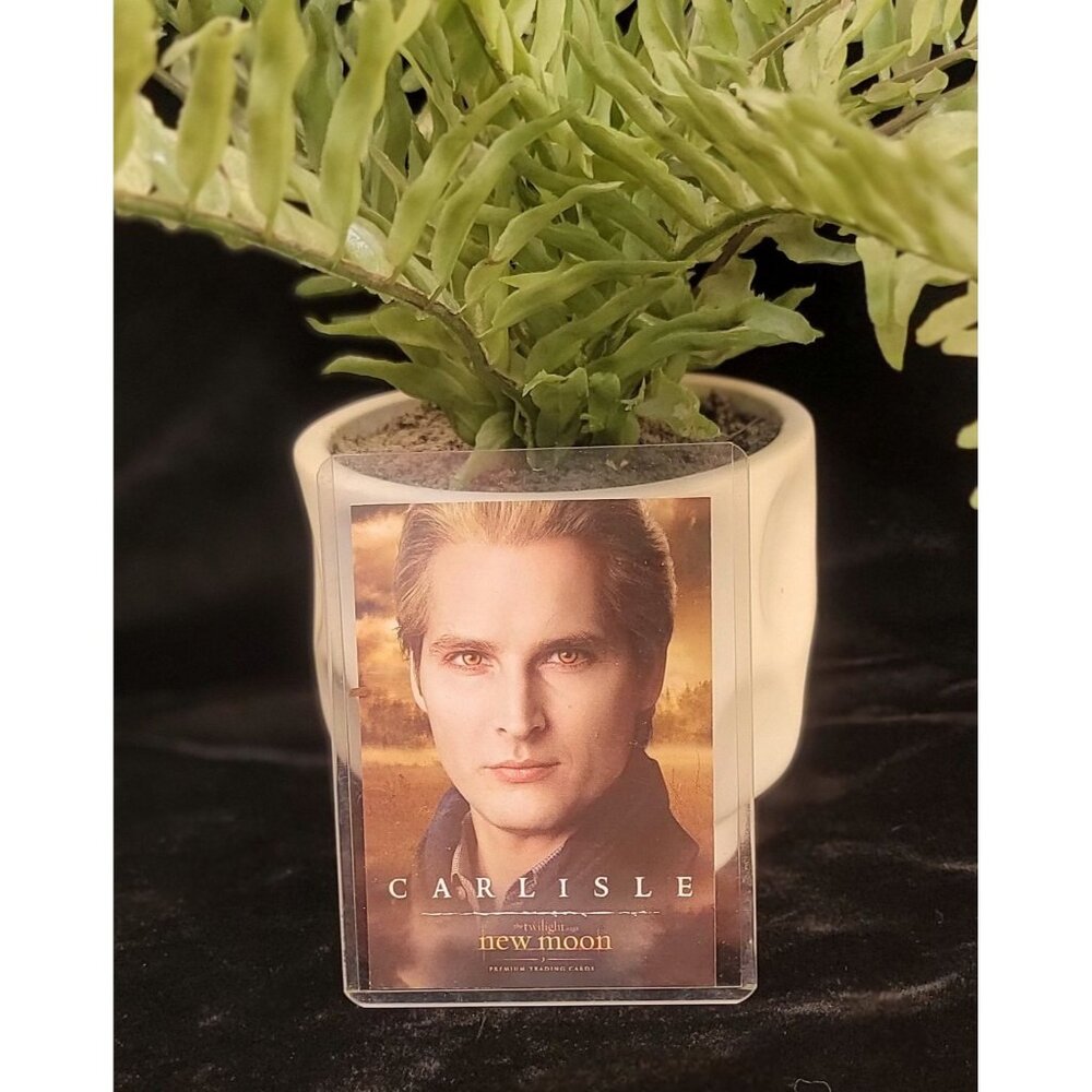 Collectible Carlisle New Moon Trading Card with Protective Sheath